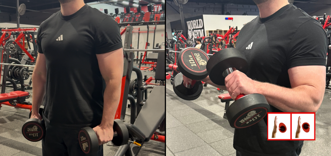 Dumbbell reverse curls with PUMPZ